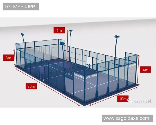 上海网球队的转换体系与网球战术的深度解析与应用探讨