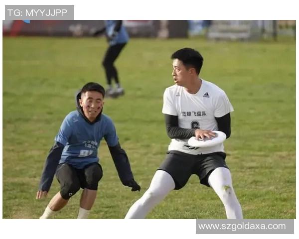 北京飞盘队运营分析：成功经验与面临挑战的全面探讨