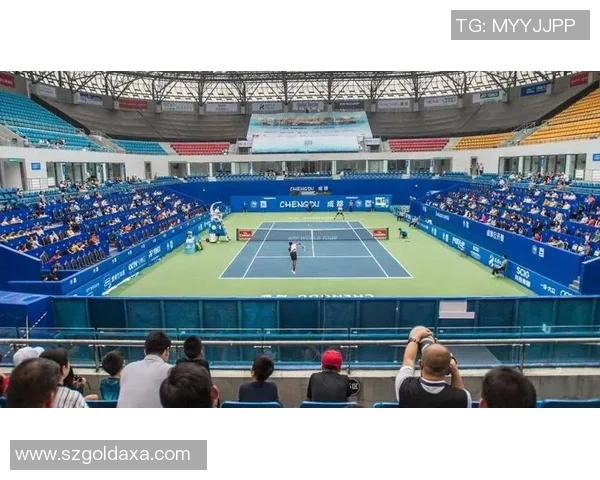 成都网球队的防反策略解析与深度剖析网球技术的魅力与挑战