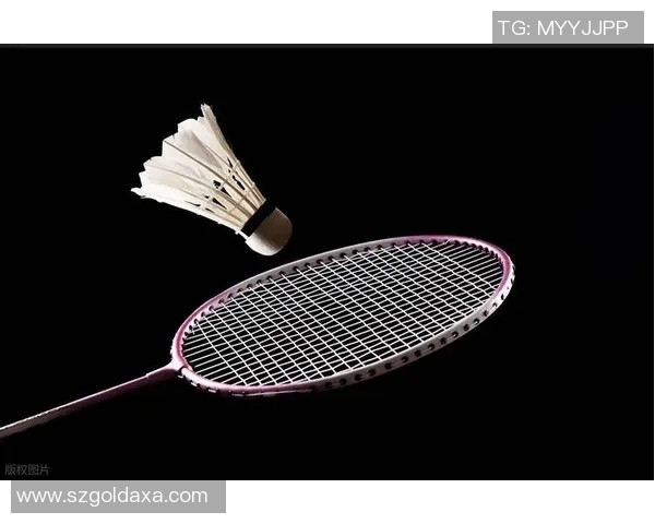 权威发布羽毛球战术实力榜单揭示顶尖选手的竞技策略与表现