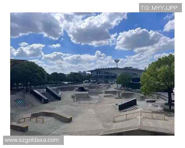 武汉极限运动队勇闯滑板精英赛的奋斗历程与荣耀时刻