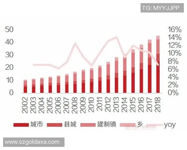 武汉街舞队力量表现的数据分析与趋势研究