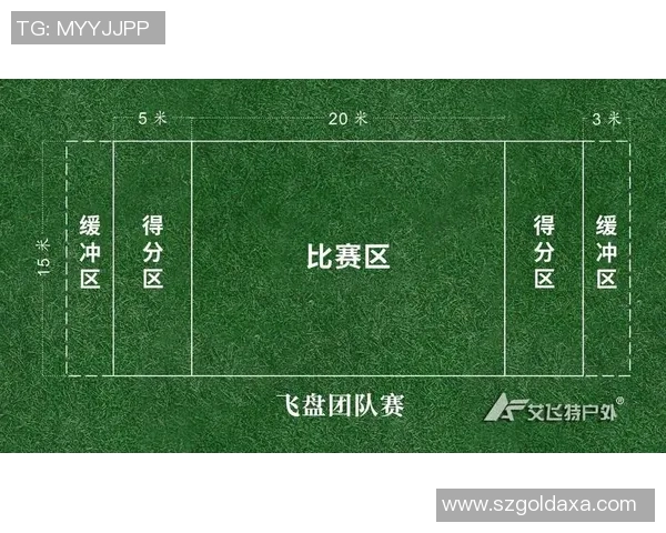 武汉飞盘队心理素质深度对比分析与竞技表现的关系探讨